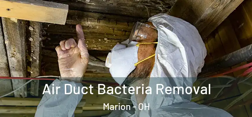  Air Duct Bacteria Removal Marion - OH