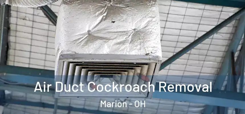  Air Duct Cockroach Removal Marion - OH
