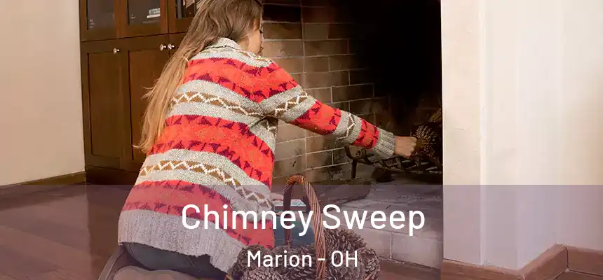 Chimney Sweep Marion - OH