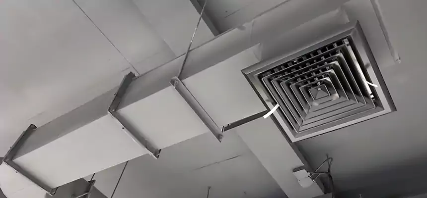 Our Pest Removal From Ducts Services in Marion, OH