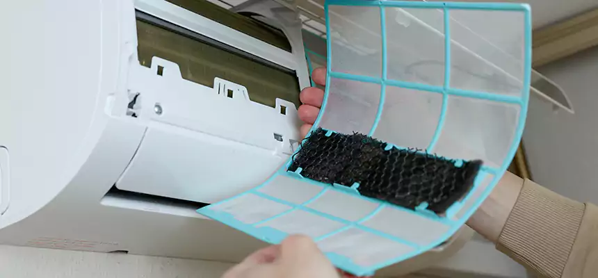 Gentle Ductwork Odor-Control Pet Dander Duct Cleaning in Marion, OH