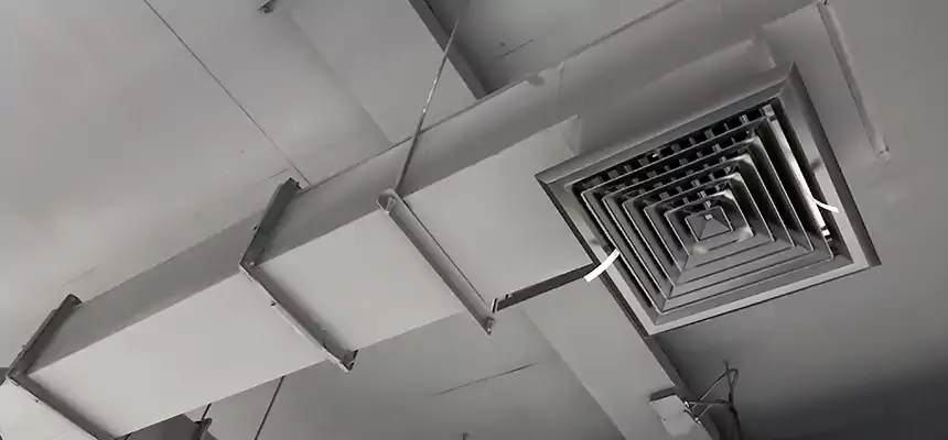 Our Rodent Droppings In Vents Services in Marion, OH