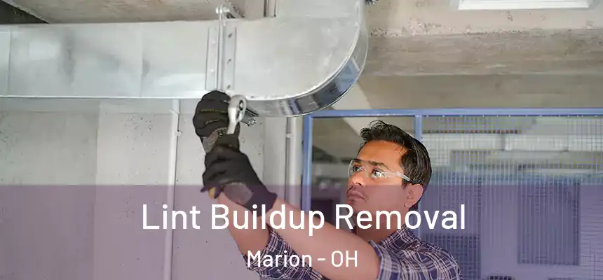  Lint Buildup Removal Marion - OH