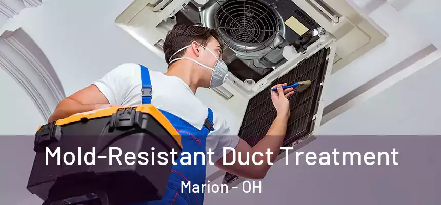  Mold-Resistant Duct Treatment Marion - OH