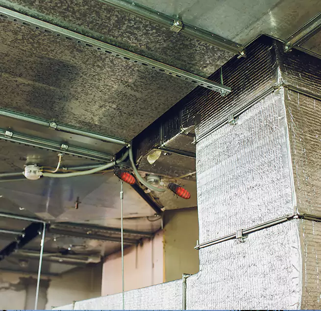 Why Homeowners & Businesses Trust Us in Marion, OH?